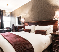 gallery-standard-room-01